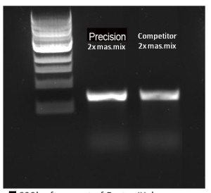 Precison vs promega (green)