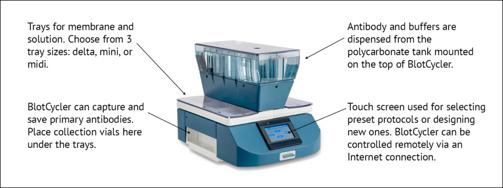 BlotCycler automates blocking and antibody incubation precisely!
