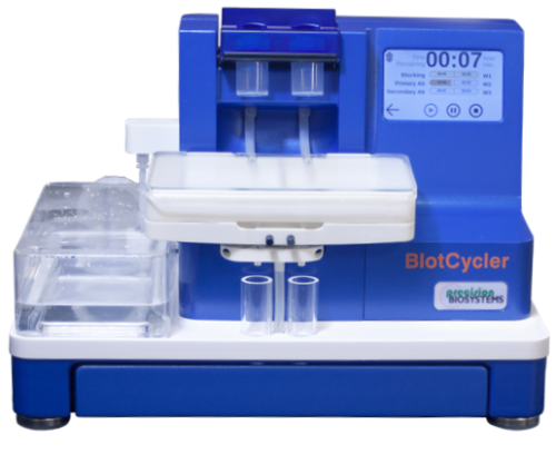 BLotCycler-mini to genrate highquality western blot